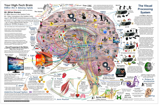 The True Power of 3 AAA Batteries… - Rocky Mountain Brain and Spine  Institute